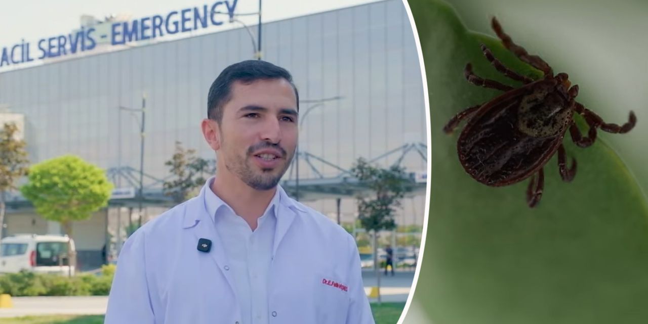 Uzman Uyarıyor: Keneyi yakmak, alkol dökmek, ezmek yanlış!