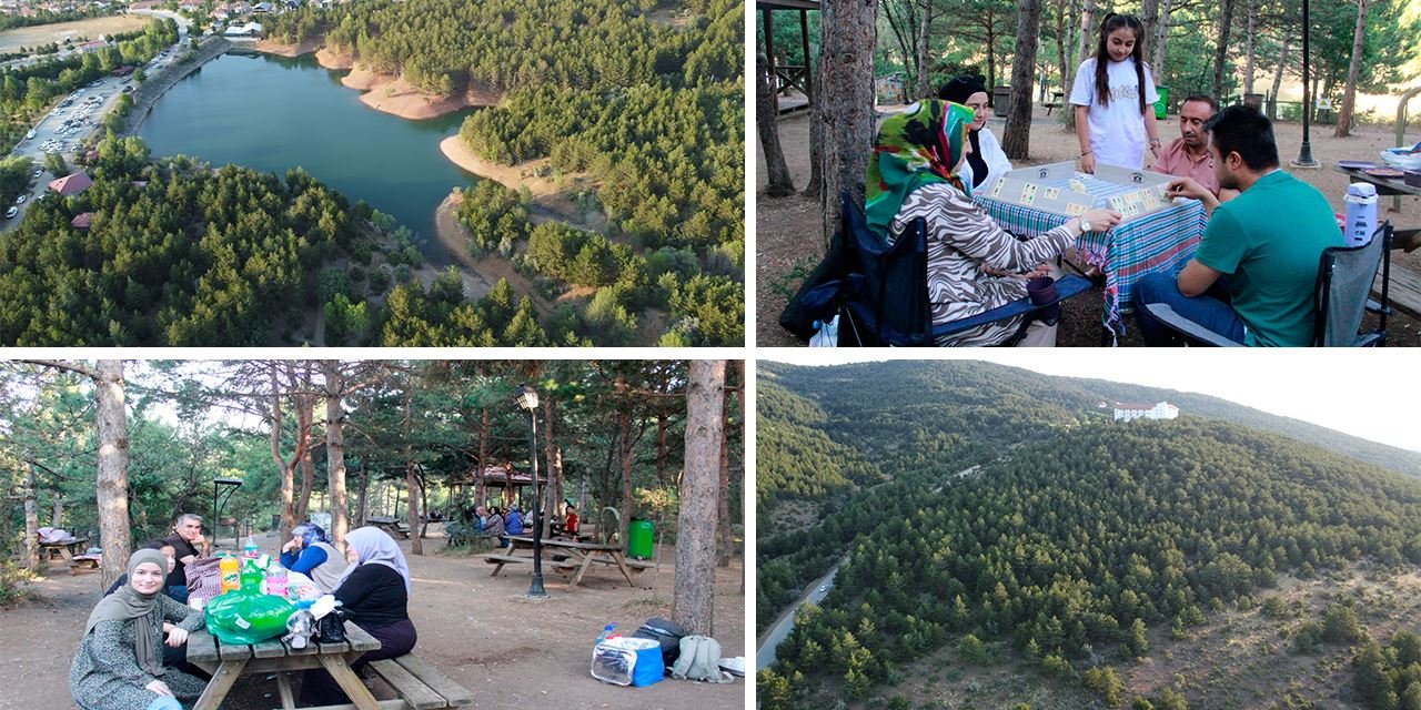 Çamlık’ta ateş yok, huzur var
