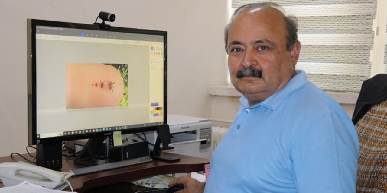 Gelişigüzel ilaçlama kene sayısını artırabilir