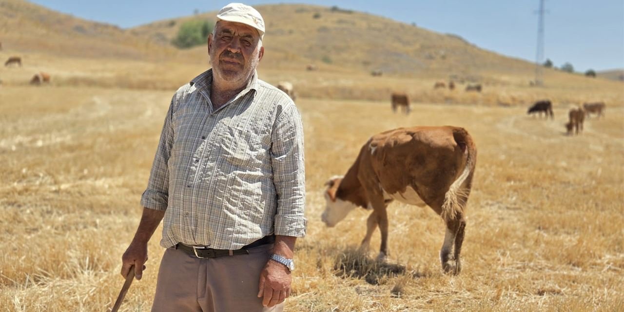 40 yıllık çoban: ''Çobanlığı bırakırsam çöker kalırım''