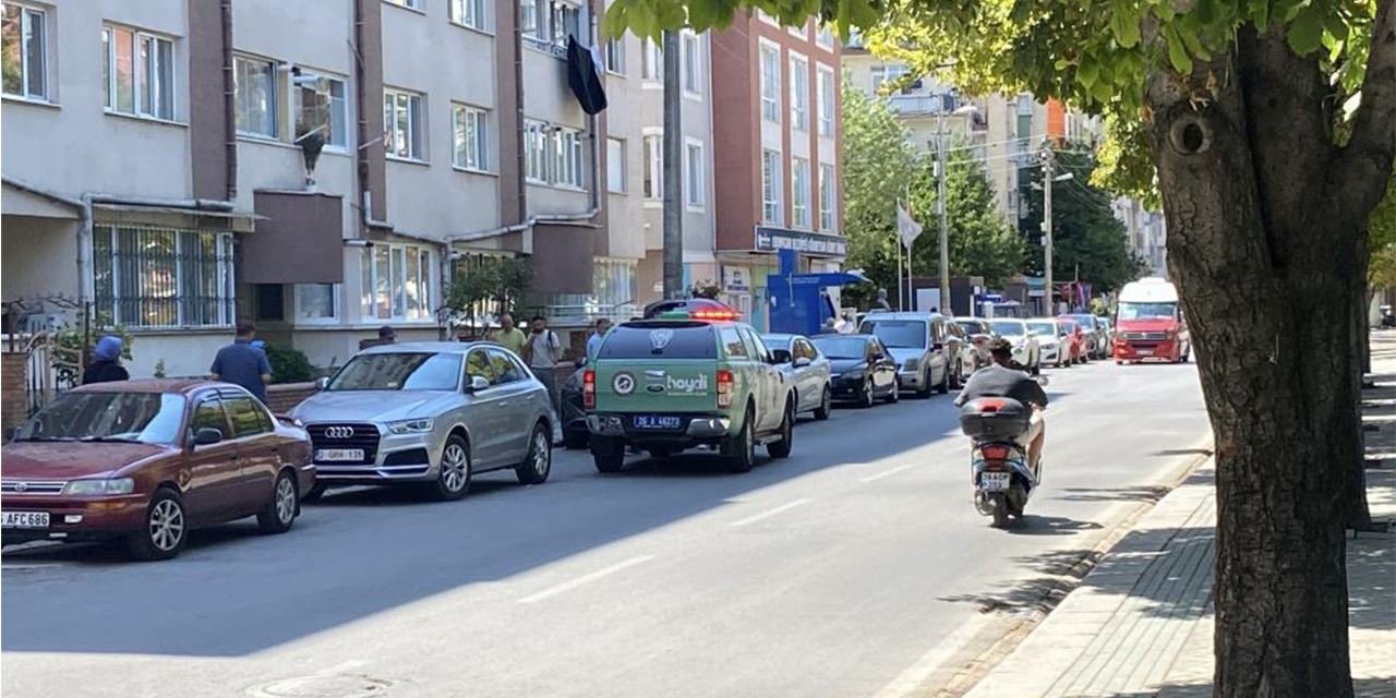 Kedi ölümleri polisi harekete geçirdi