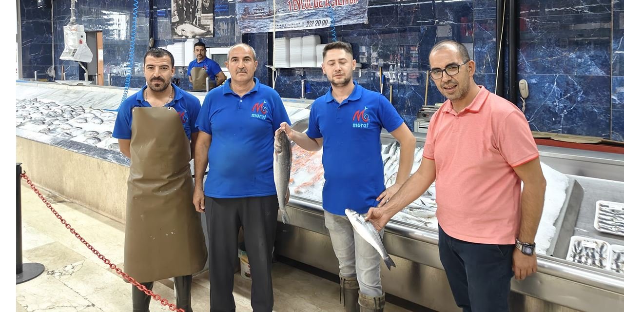 Balıkçılar sezona hazır: Hamsi ve istavrit bolluğu bekleniyor