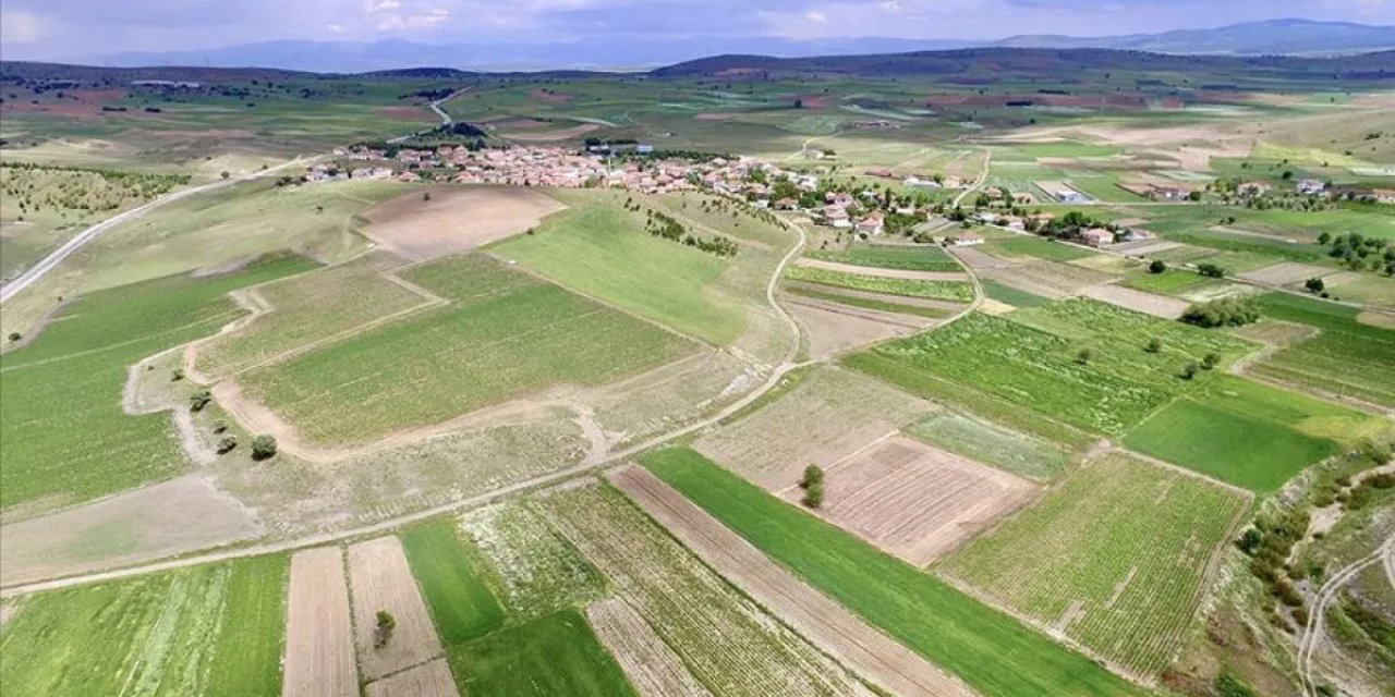 İşlenmeyen araziler sezonluk kiraya çıkıyor