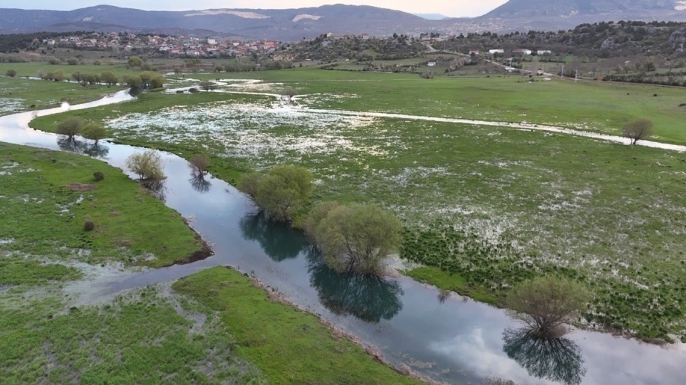 Apsıngır Ovası, leyleklerin yemyeşil durağı oldu
