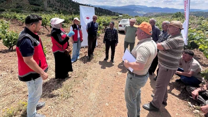 Aladağ Vadisi’nde tuzaklar dağıtıldı: Pestisit kullanımı azalacak