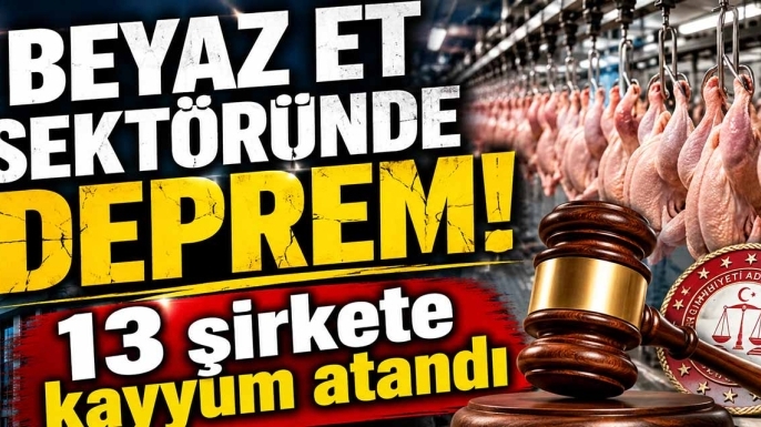 Beyaz et sektöründe deprem! 13 şirkete kayyum atandı