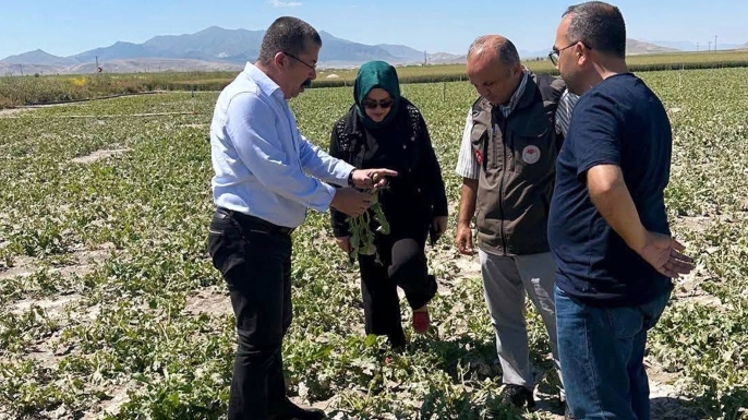 Karapınar’ı dolu vurdu: Ekipler hasar tespiti için sahada!
