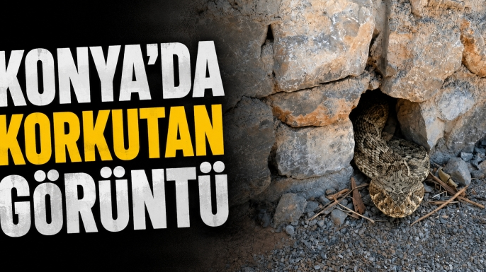 Konya'da korkutan görüntü