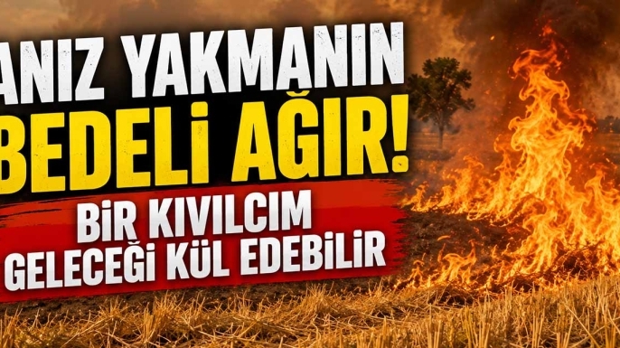 Anız Yakmanın Bedeli Ağır! Bir Kıvılcım Geleceği Kül Edebilir