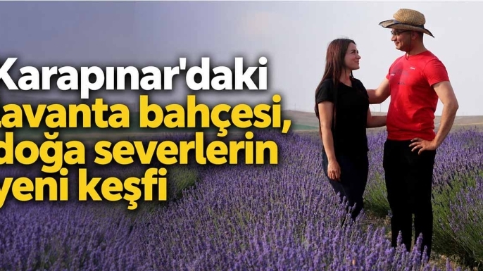 Karapınar'daki lavanta bahçesi, doğa severlerin yeni keşfi