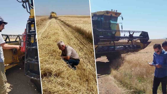 Konya'da biçerdöverlere sıkı denetim: Hububatta dane kaybı önlenecek