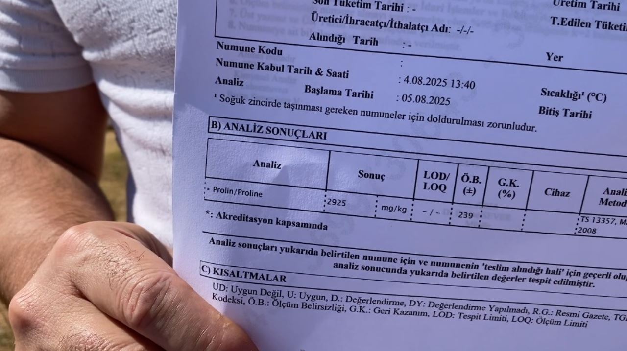 eskisehirde-uretilen-bal-guinness-rekoruna-gidiyor2.jpg