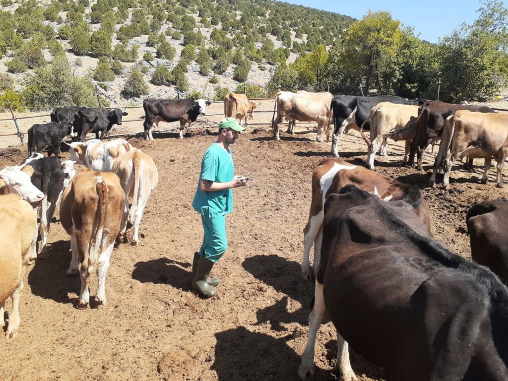 ilginda-sap-mucadelesi-suruyor-2.jpg