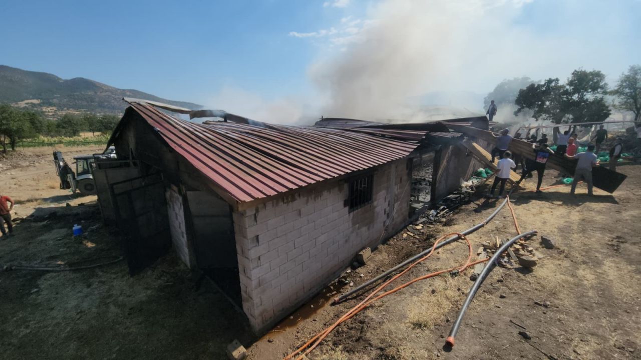 konyada-ahir-yangini-6-buyukbas-telef-oldu-4.jpg