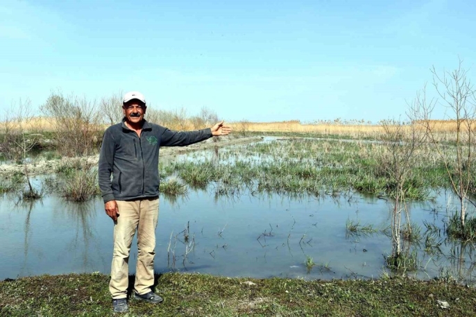 Akşehir Gölü, 8 yıl aradan sonra tekrar su tutmaya başladı 4