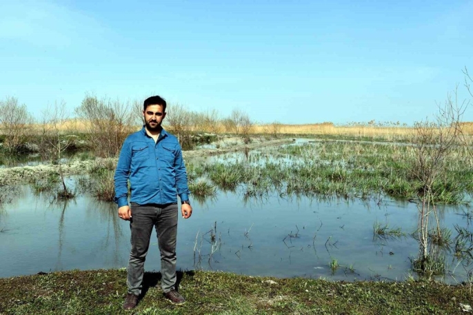 Akşehir Gölü, 8 yıl aradan sonra tekrar su tutmaya başladı 5