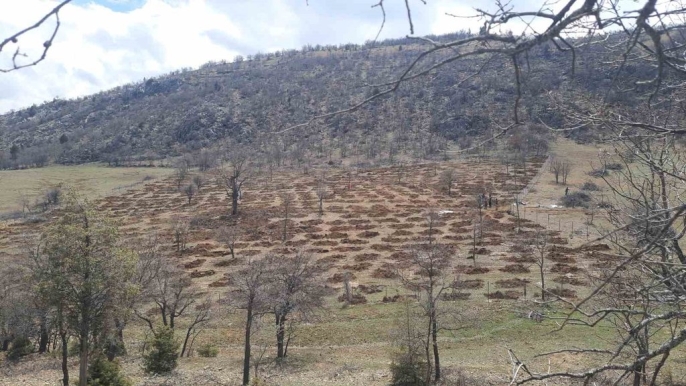 Bozkır\
