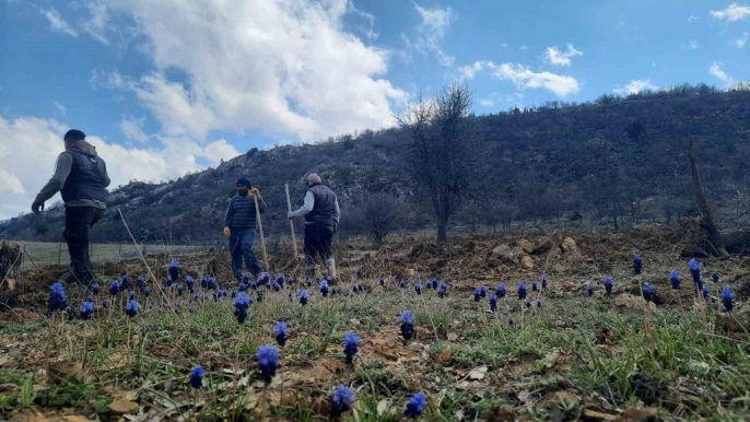Bozkır\