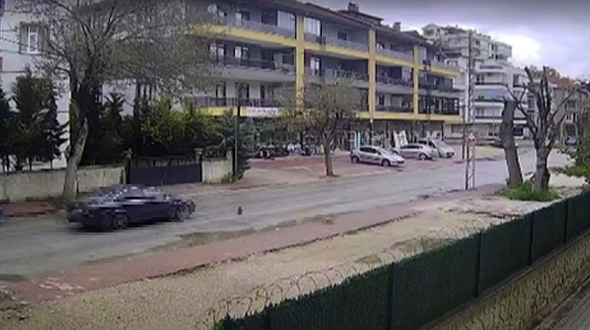Yavru kedinin yürek burkan sadakati: Annesinin başında bekledi 1
