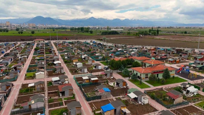 Başkan Büyükkılıç, hobi bahçesi sahiplerine atalık fide dağıttı 4