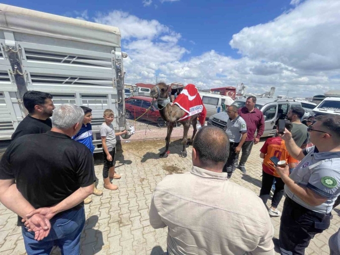 Konya\