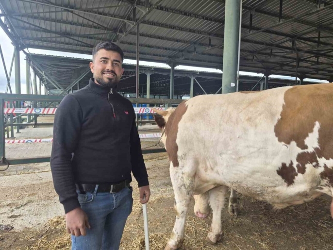 Kurban Bayramı öncesi Eskişehir hayvan pazarının gözdesi: 780 kiloluk \