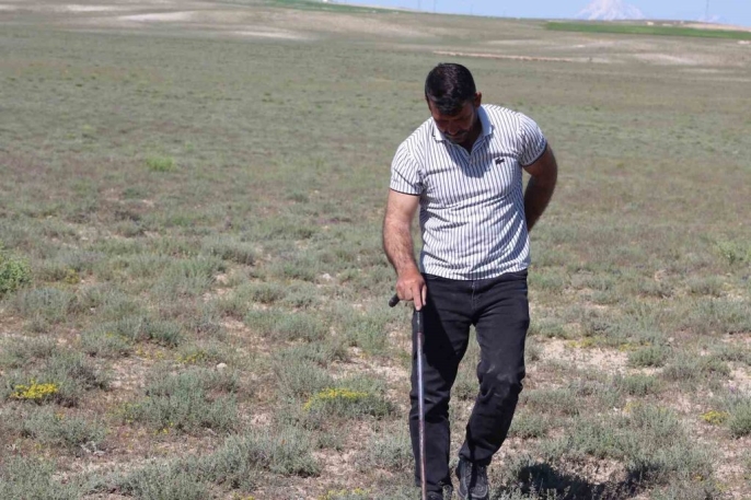 Toprağın altındaki altınlar: Dolaman kurdu günde 60 bin liralık mantar buluyor 2