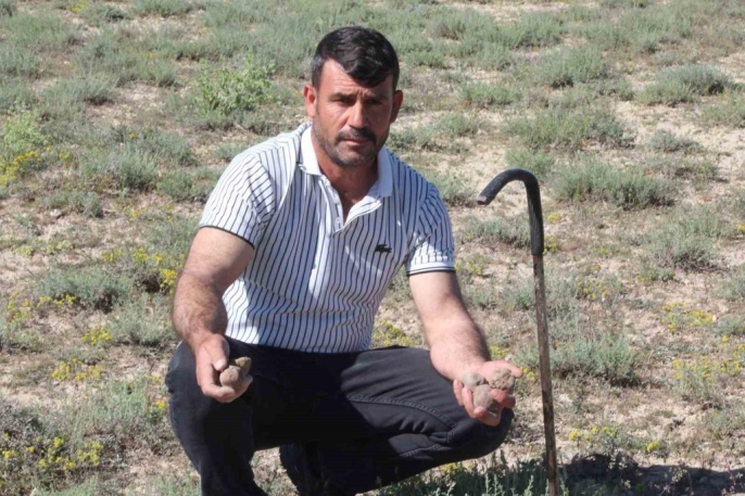 Toprağın altındaki altınlar: Dolaman kurdu günde 60 bin liralık mantar buluyor 3