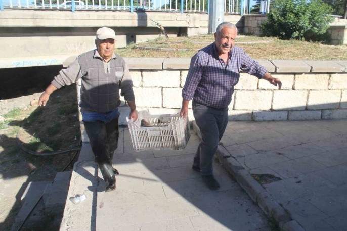 Beyşehir Gölü\