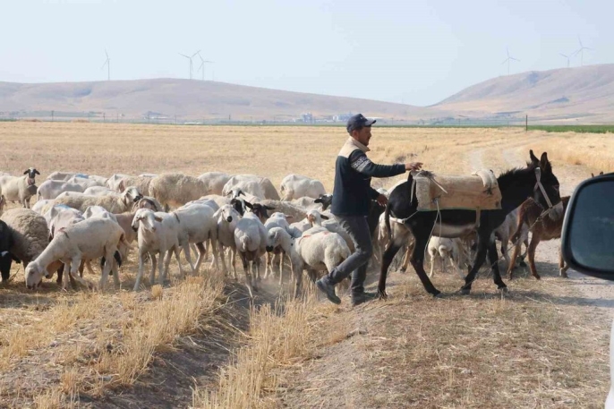 Konya\