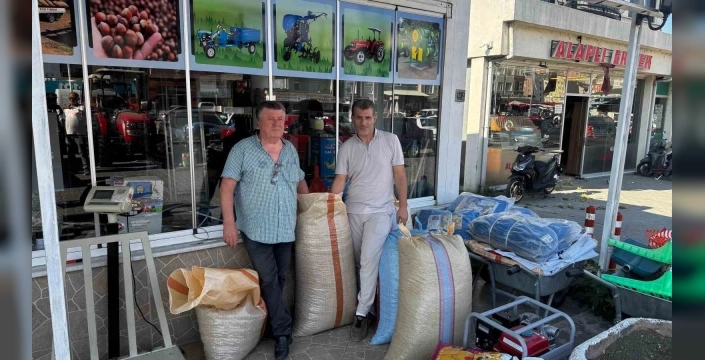 Alaplı'da fındık fiyatları yükseldi: 260 liradan alım başladı
