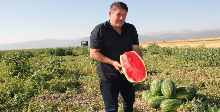 Karpuz üreticisi isyanda: Çiftçilikten nefret eder hale geldik!
