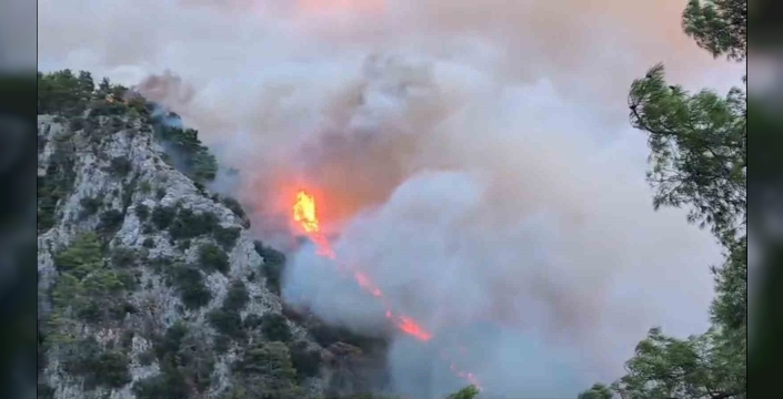 Muğla'da 3 orman yangını sürüyor: Hava desteği başladı