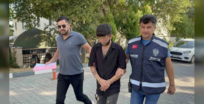 Samsun'da park halindeki kamyonun kornası çalındı: Şüpheli tutuklandı