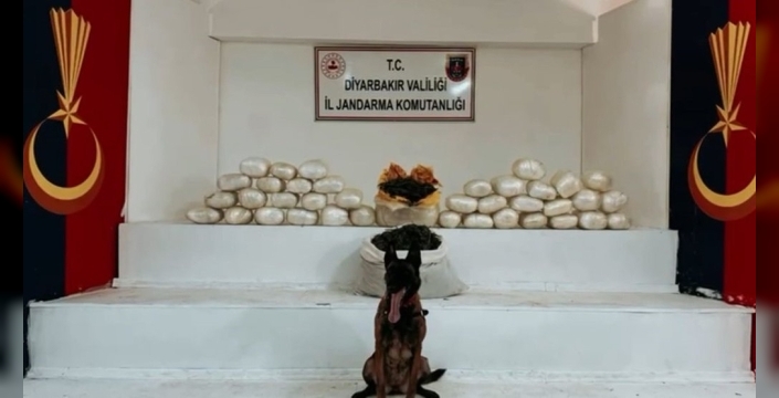Bakan Yerlikaya: Diyarbakır'da 555 kilogram uyuşturucu ele geçirildi