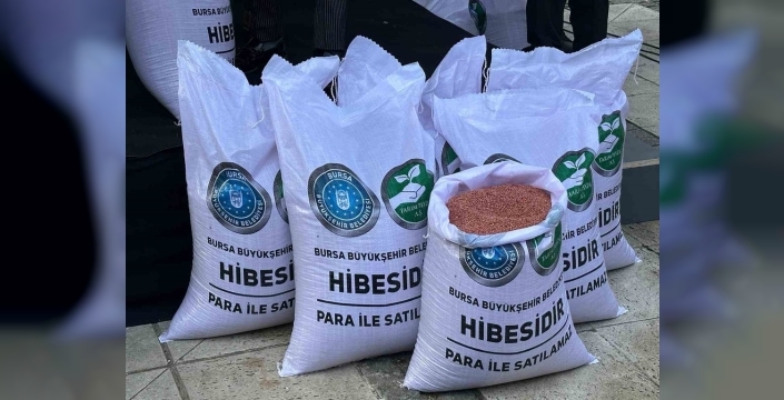 Bursa Büyükşehir’den çiftçilere 47 ton buğday tohumu desteği!