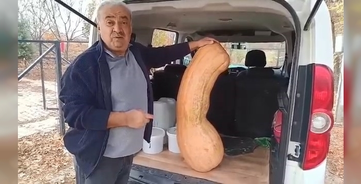 Elazığ'da şaşırtan dev kabak mucizesi: 47 Kilogramlık şok!