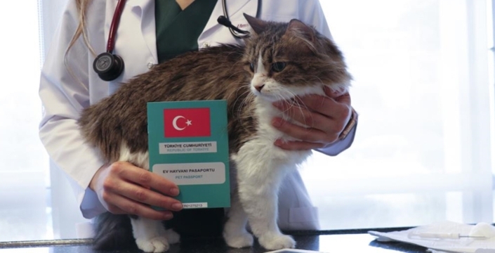 Evcil hayvan sahiplerine son uyarı! Süre doluyor