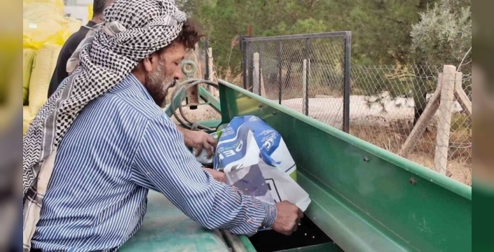 Mardin'de yerli tohum rüzgarı: Yıldız Tarım, üretimi güçlendirip ihracatta büyük hedefler peşinde