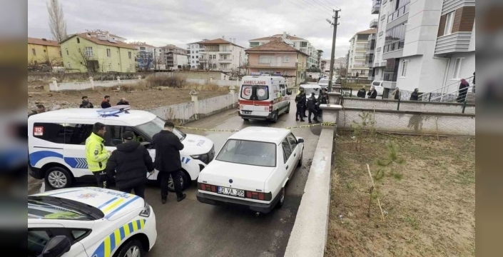 Hollanda'dan Aksaray'a gelen kardeş, ağabeyini öldürdü