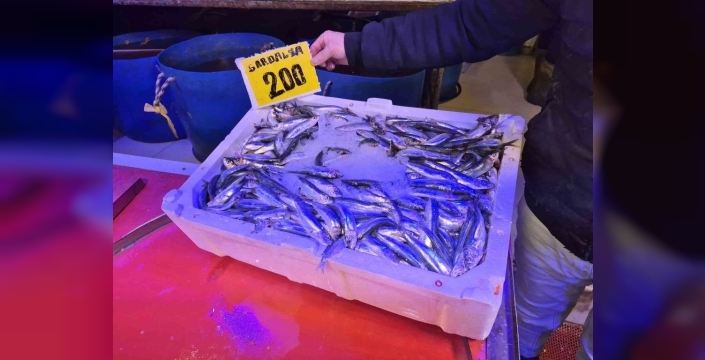 Sardalya, balık tezgahlarında hamsiyi bile geride bıraktı