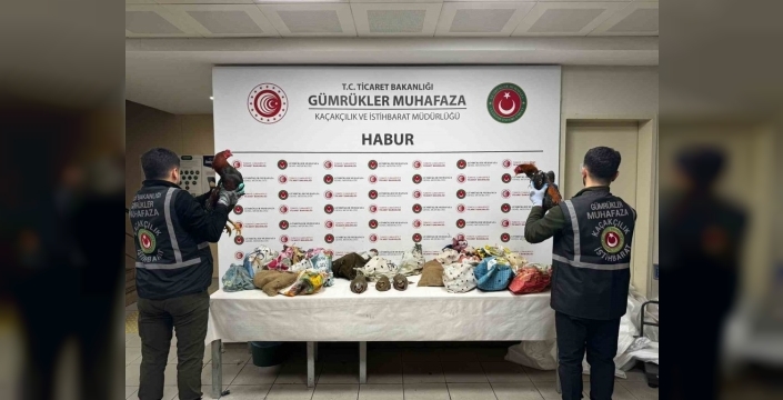 Şırnak'ta tırda 40 kanatlı hayvan ele geçirildi