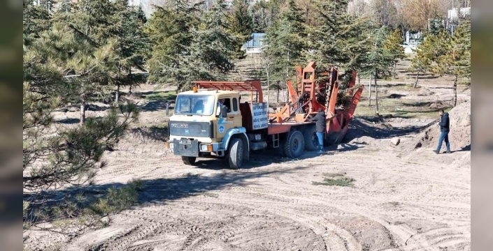 Kartal Kavşağı Projesi İçin Doğaya Duyarlı Adım: Yüzlerce Ağaç Yeni Yuvalarına Taşınıyor