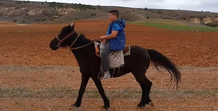 Kaybolan atını arıyor; Umudu sosyal medya