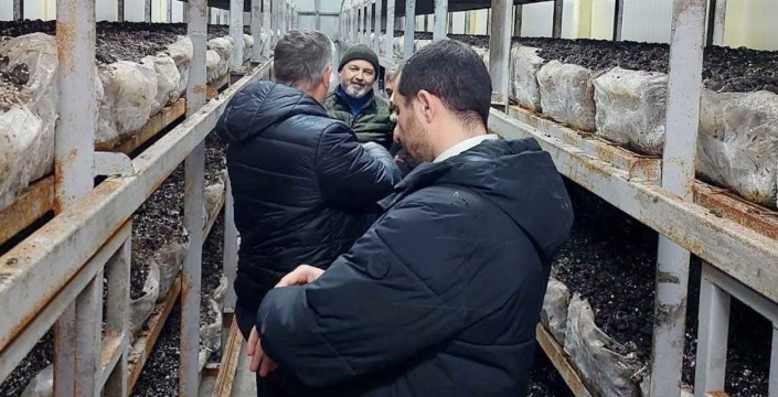 Konya mantar üretim üssü olacak: Üreticilere teknik destek