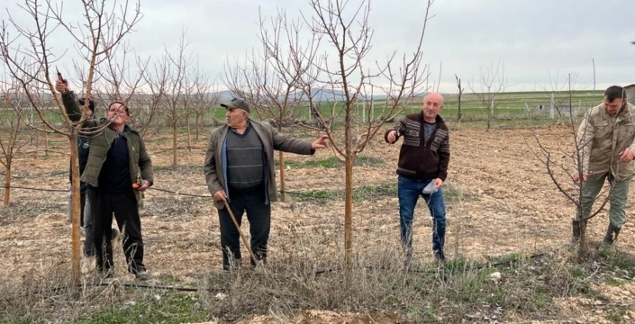 Sarayönü’nde üreticilere uygulamalı budama eğitimi verildi
