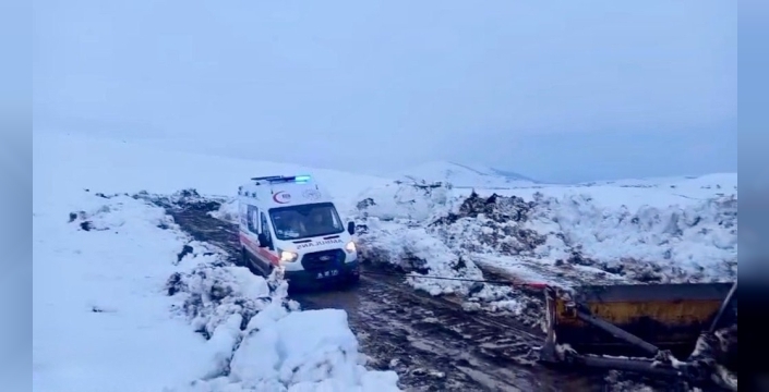 Ağrı'da nisan karı, hastayı kurtarmaya giden ambulansı mahsur bıraktı