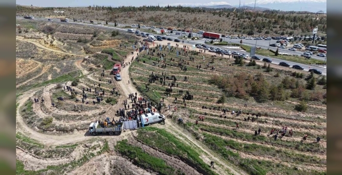 Aksaray'da şehitler anısına 2 bin 500 fidan dikildi