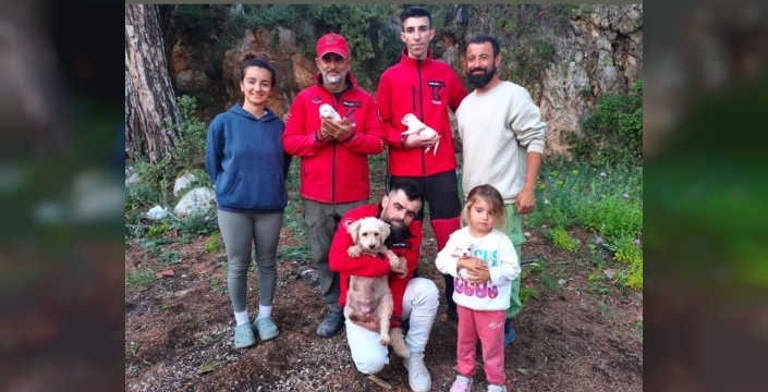 Antalya'da yavru köpekler için film gibi kurtarma operasyonu düzenlendi