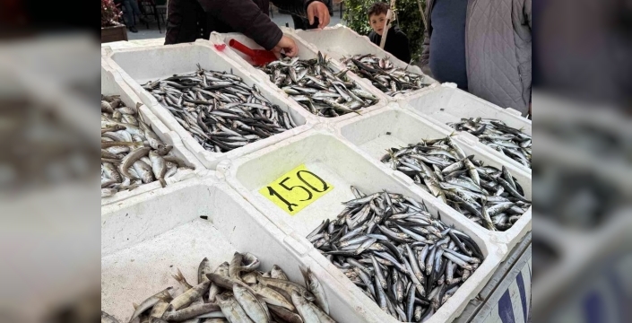 Balık tezgahları sessizleşti: Kıyı balıkçılığının zorlu mesaisi başladı